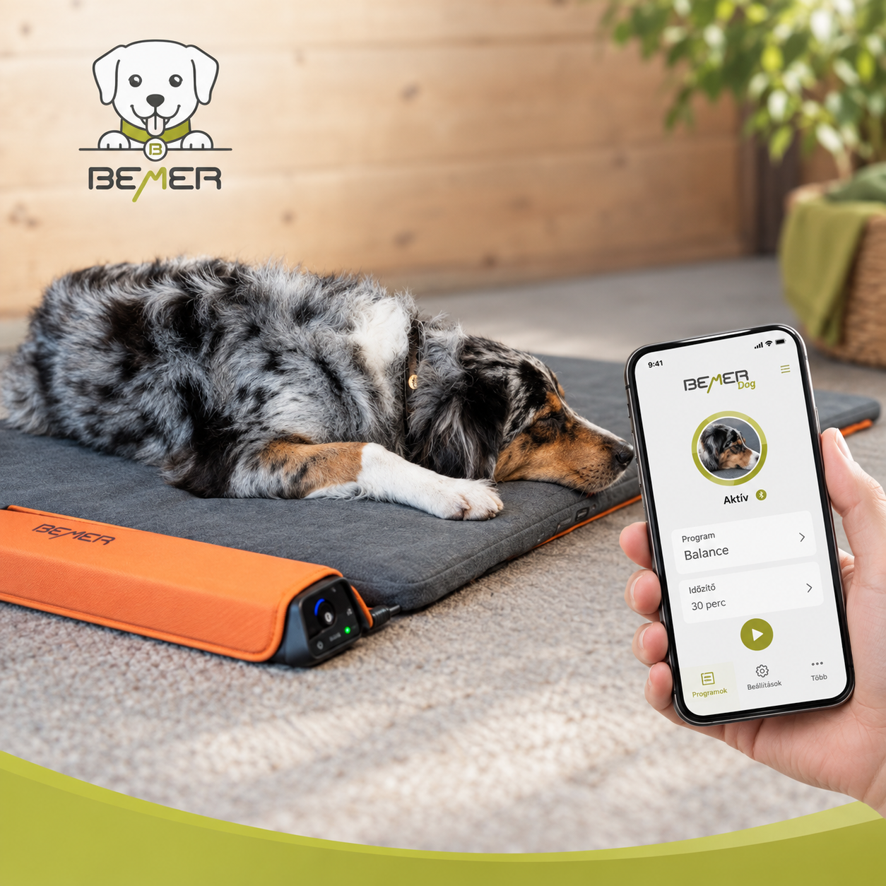BEMER Dog mobilalkalmazás okostelefonon